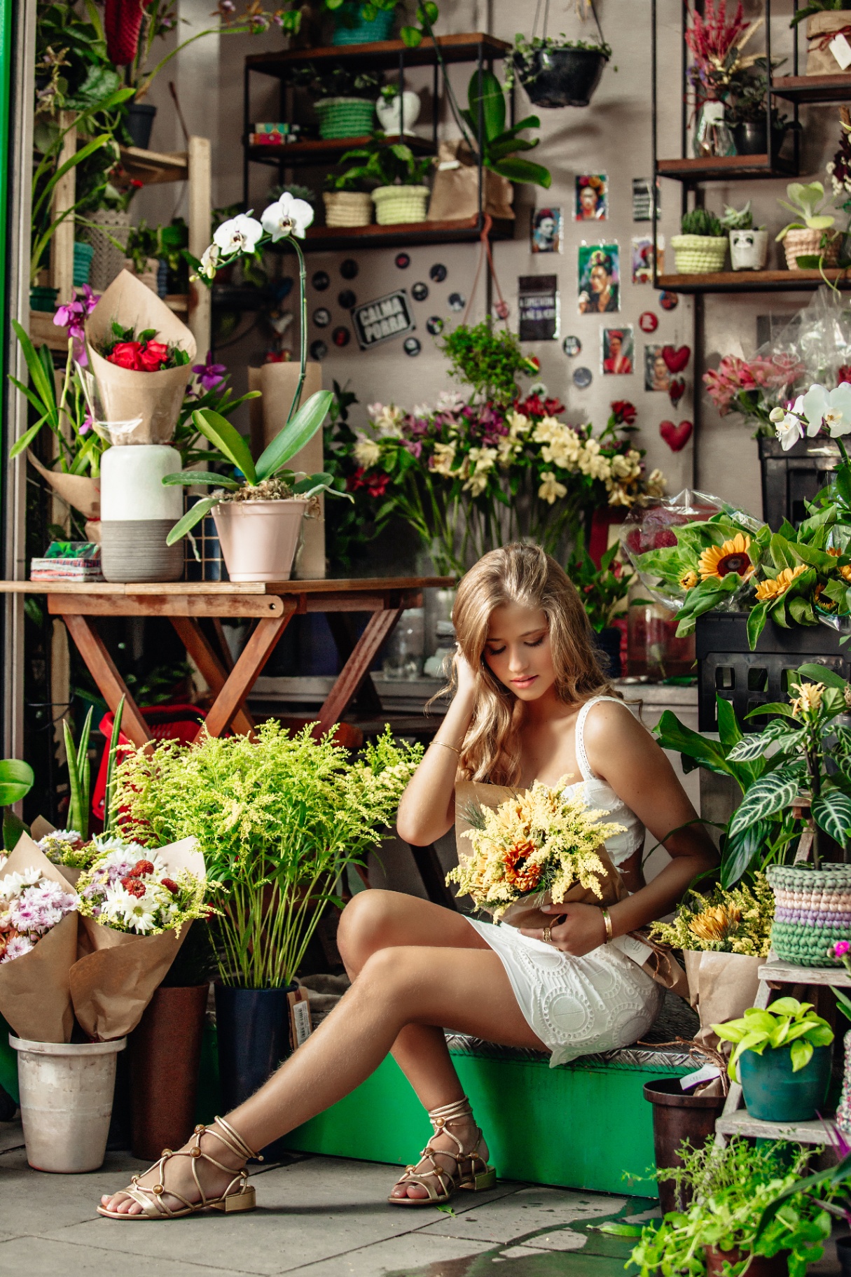 Ensaio na floricultura com girassóis